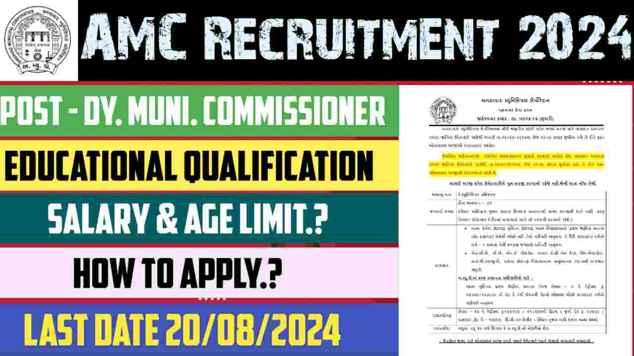 AMC Recruitment 2024